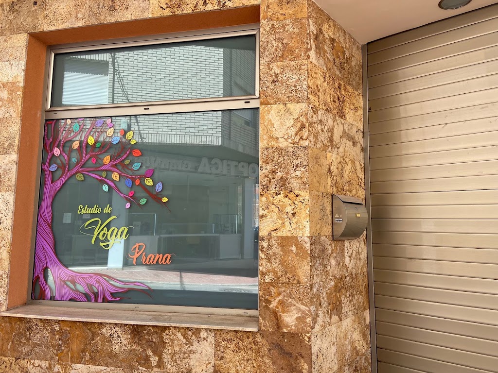 Estudio de Yoga Prana — Del propietario