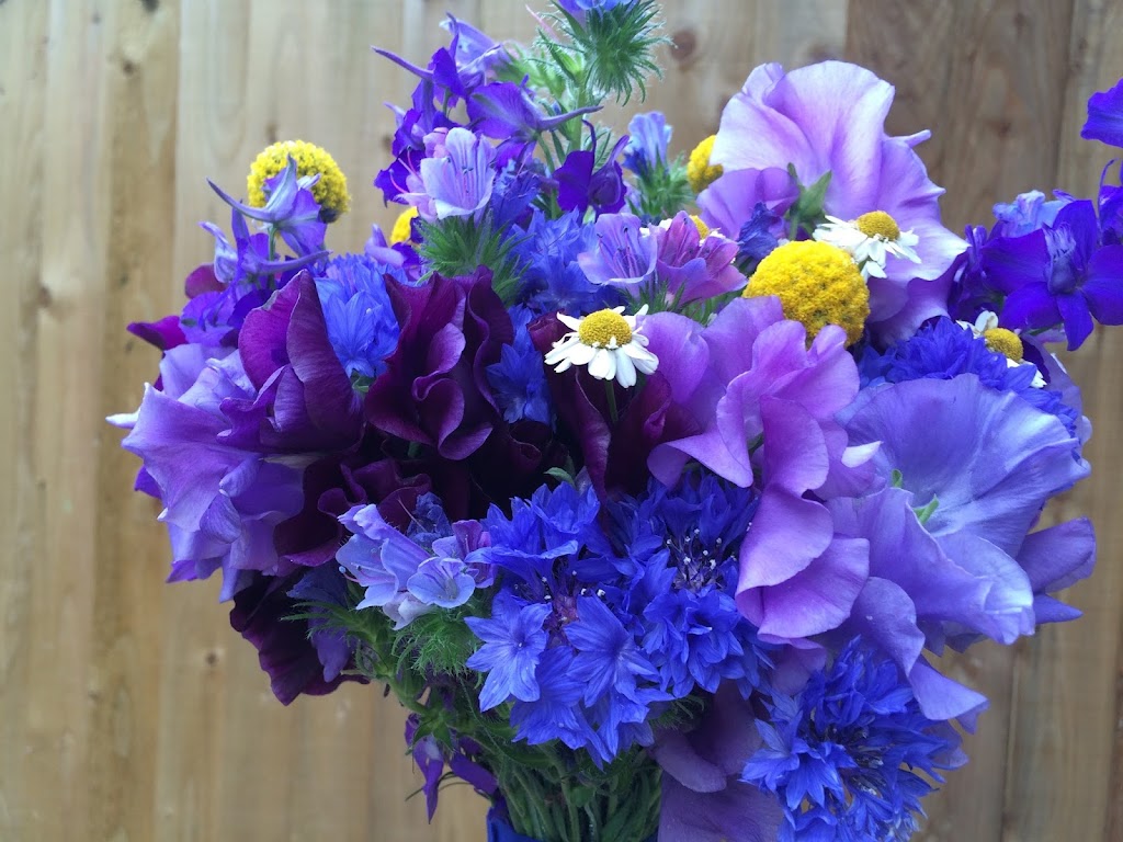 Blue Hen Flowers