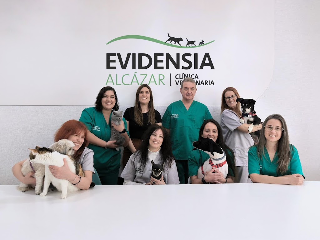 Evidensia Alcazar Clinica Veterinaria