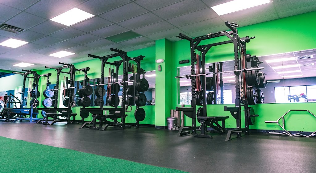  Performance Evolution