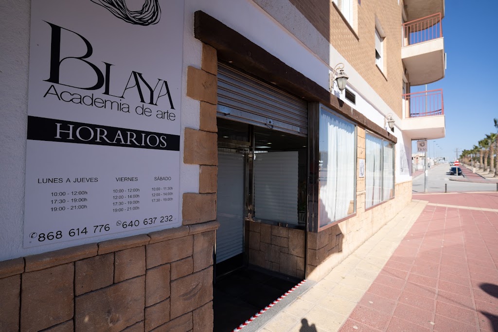 Academia de Arte Blaya — Del propietario
