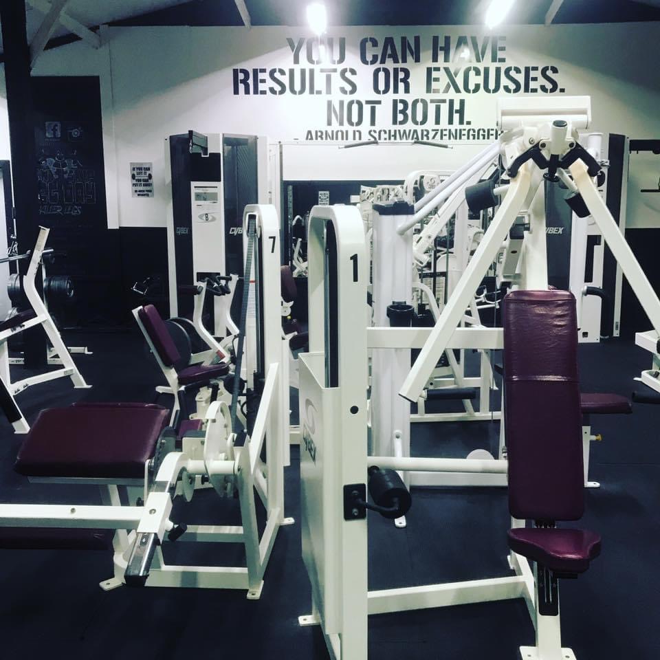  Iron Jungle Gym and Fitness