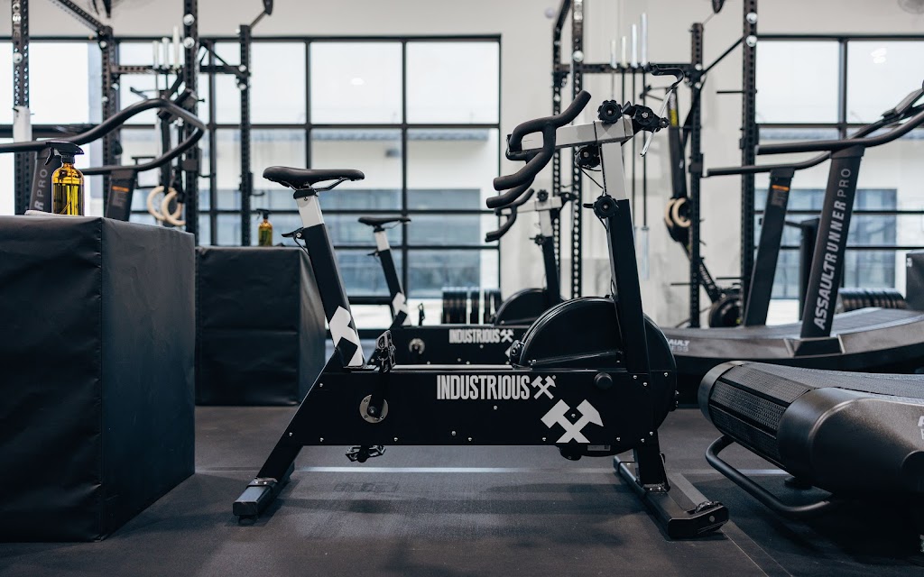  INDUSTRIOUS - Spring