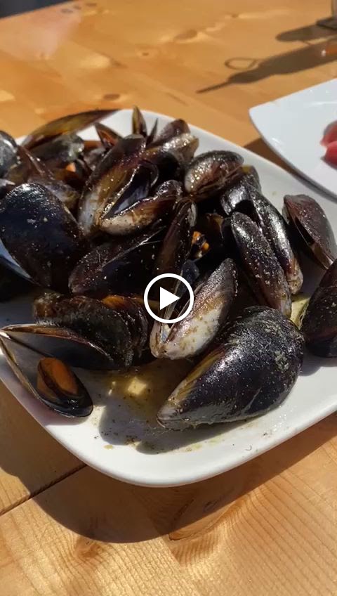 Bon Vent — Videos