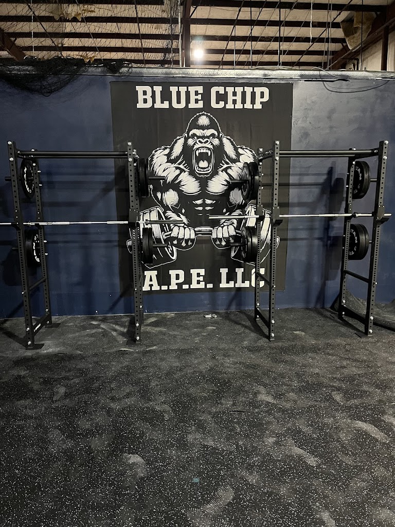  Blue Chip Athletic Performance Enhancement LLC