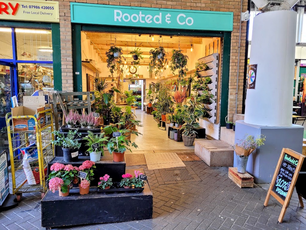Rooted & Co