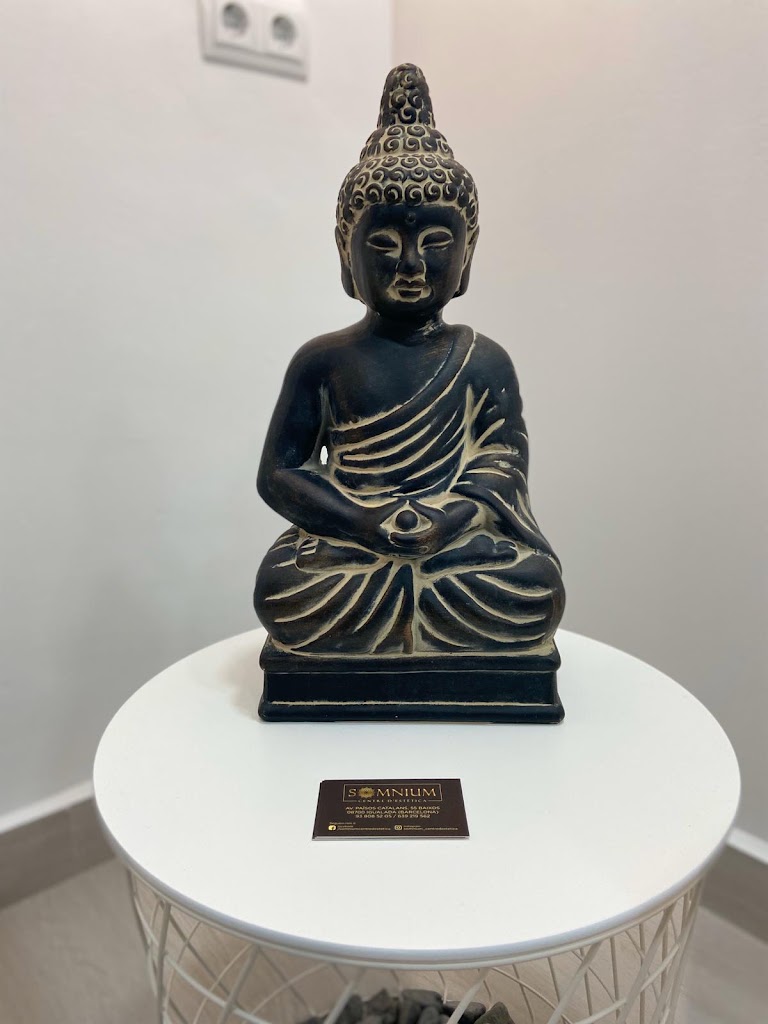Somnium centre d'estetica — Del propietario
