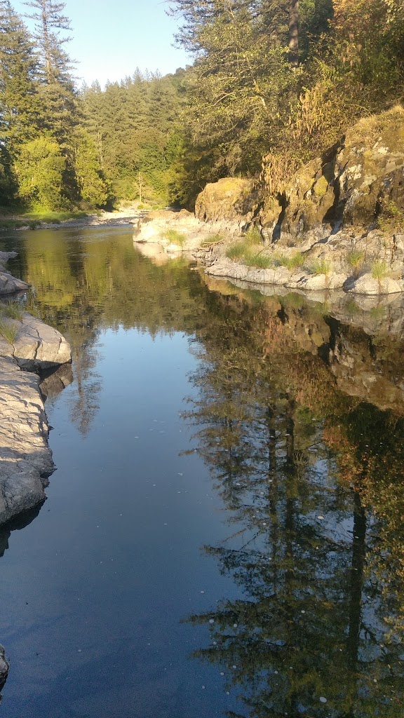 Screen Technology Group, Inc