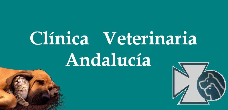 Clinica Veterinaria Andalucia — Del propietario