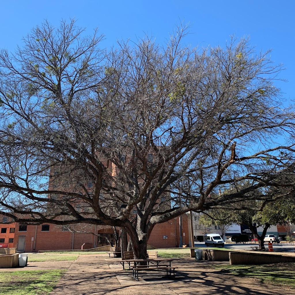 Bud Daniel Park