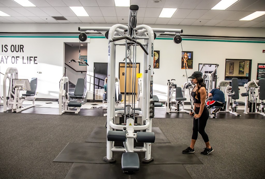  European Fitness Center