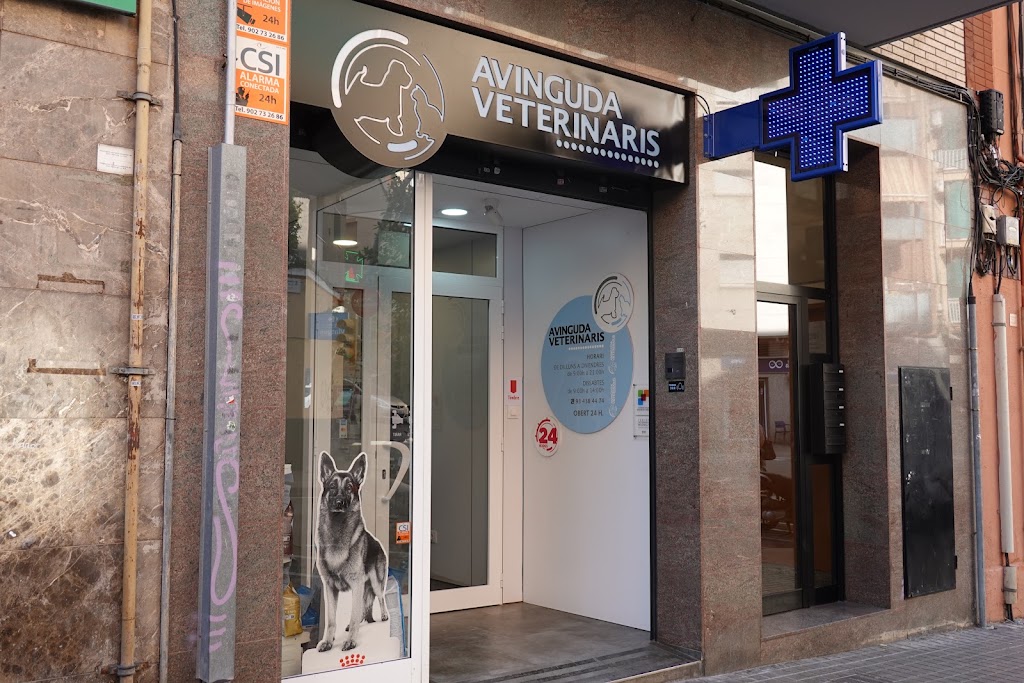 HOSPITAL VETERINARIO AVINGUDA — Del propietario