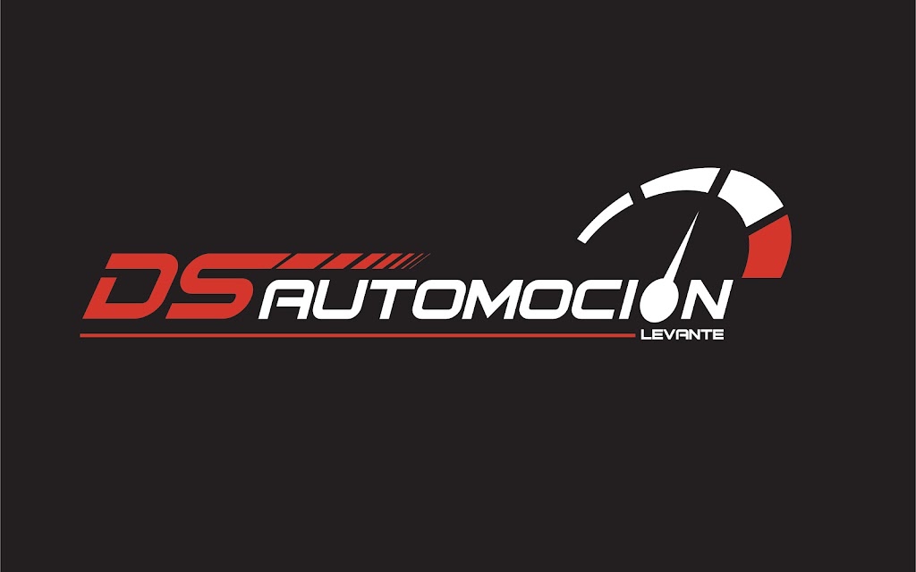 DS AUTOMOCION LEVANTE — Del propietario