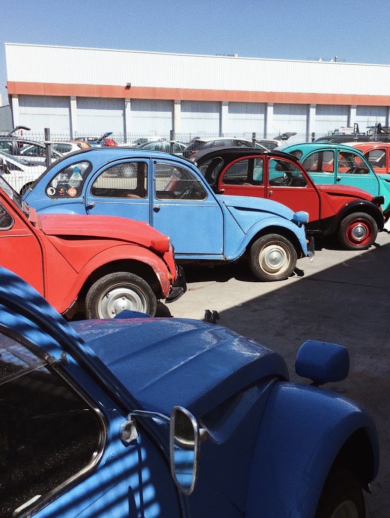 CLOVER CARS | Coches Clasicos — Automovil