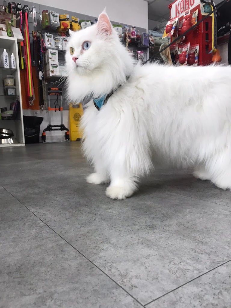 Clinica Veterinaria Teovet