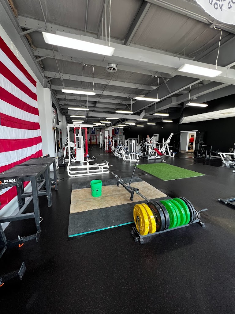  The Gym - Iron Gorilla Barbell