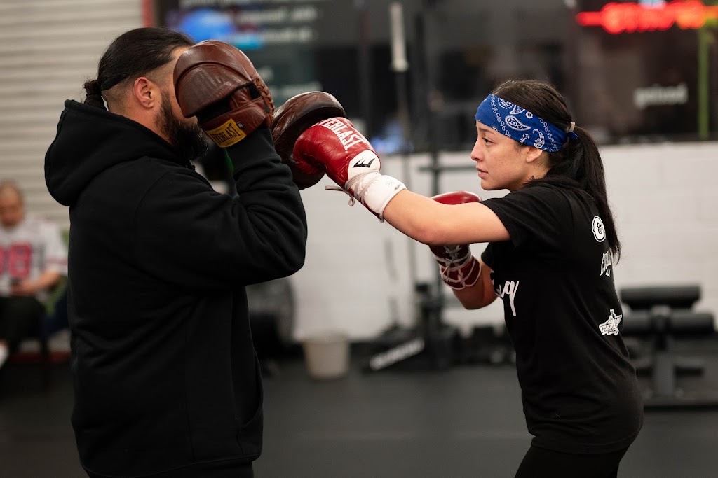  Shark Sports Boxing Gym