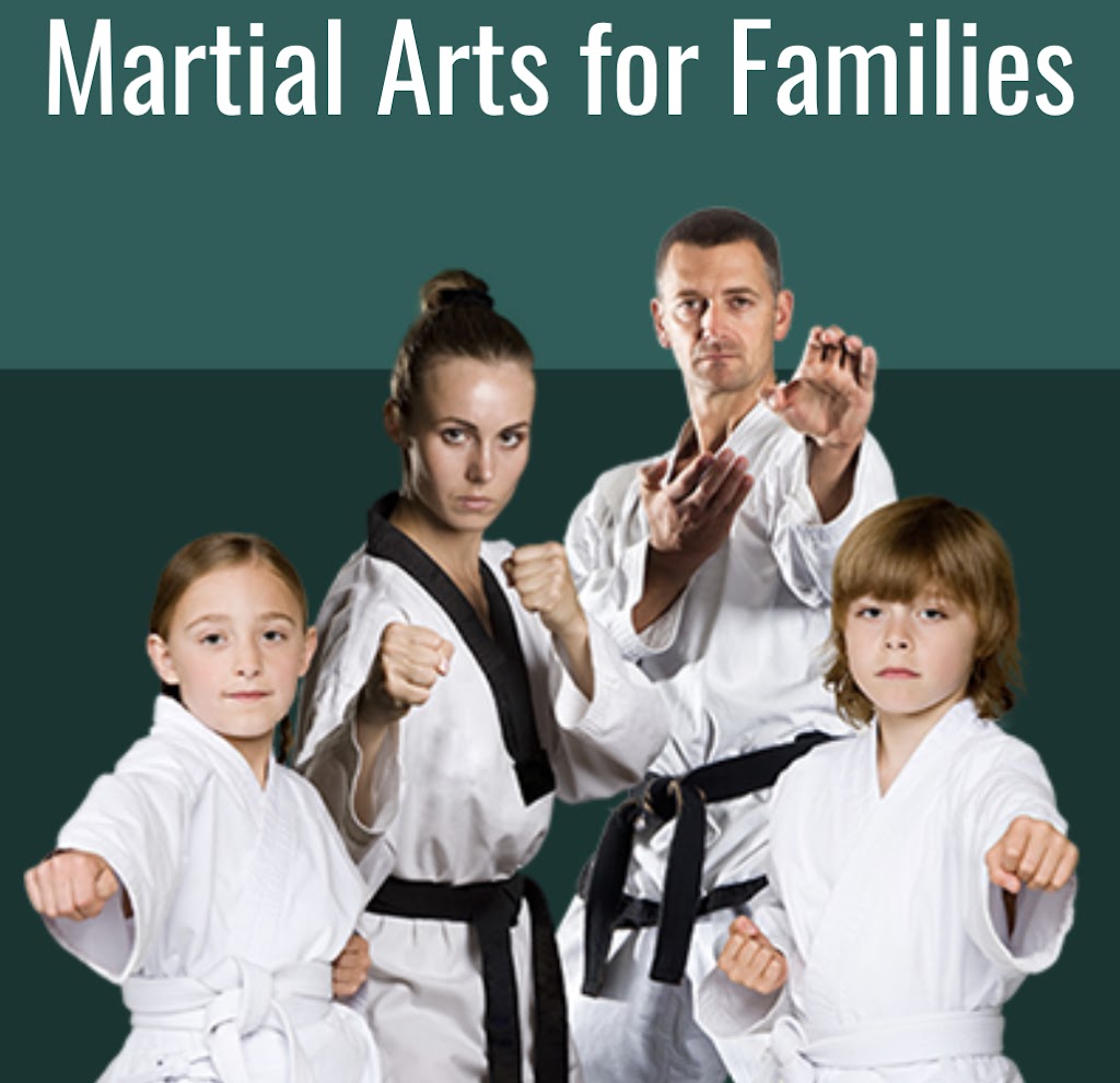  Olympic Taekwondo Academy Simsbury