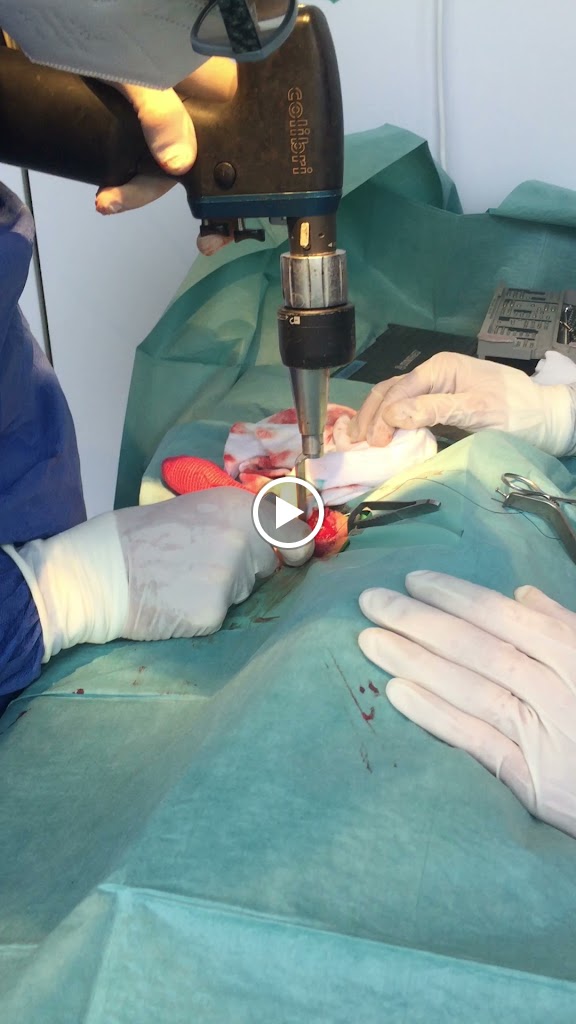 Hospital Veterinario Valdemoro — Del propietario