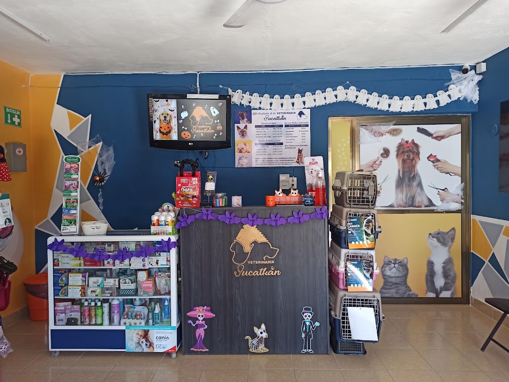 Veterinaria Yucatkan