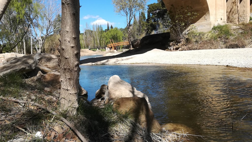 kukuguay animacion infantil alcaniz