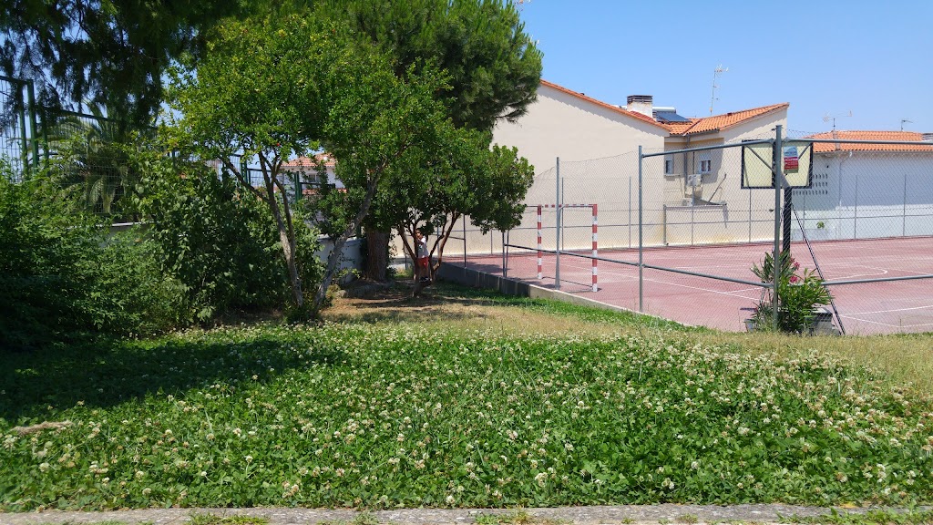 C E I P San Bartolome