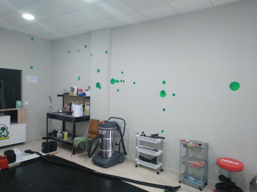 ECOCAR LIMPIEZA & DETAILING — Interior