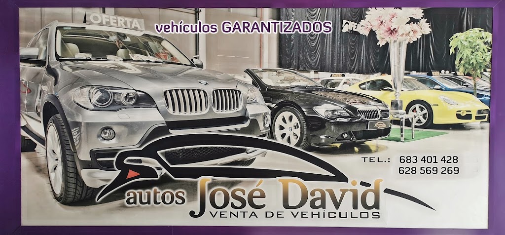 AUTOS JOSE DAVID
