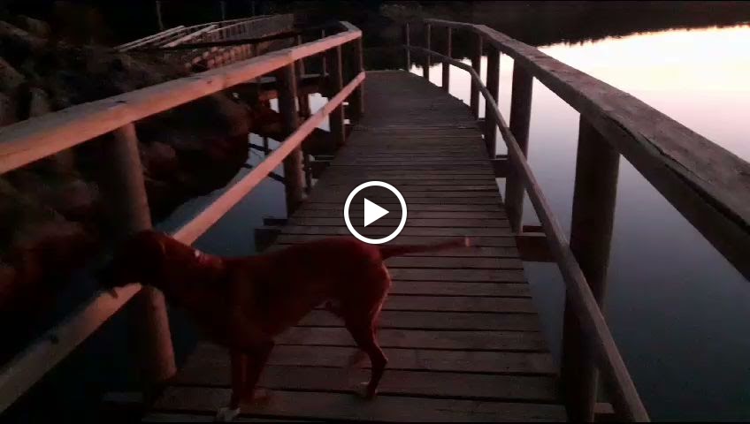 Parking de la Botana — Videos