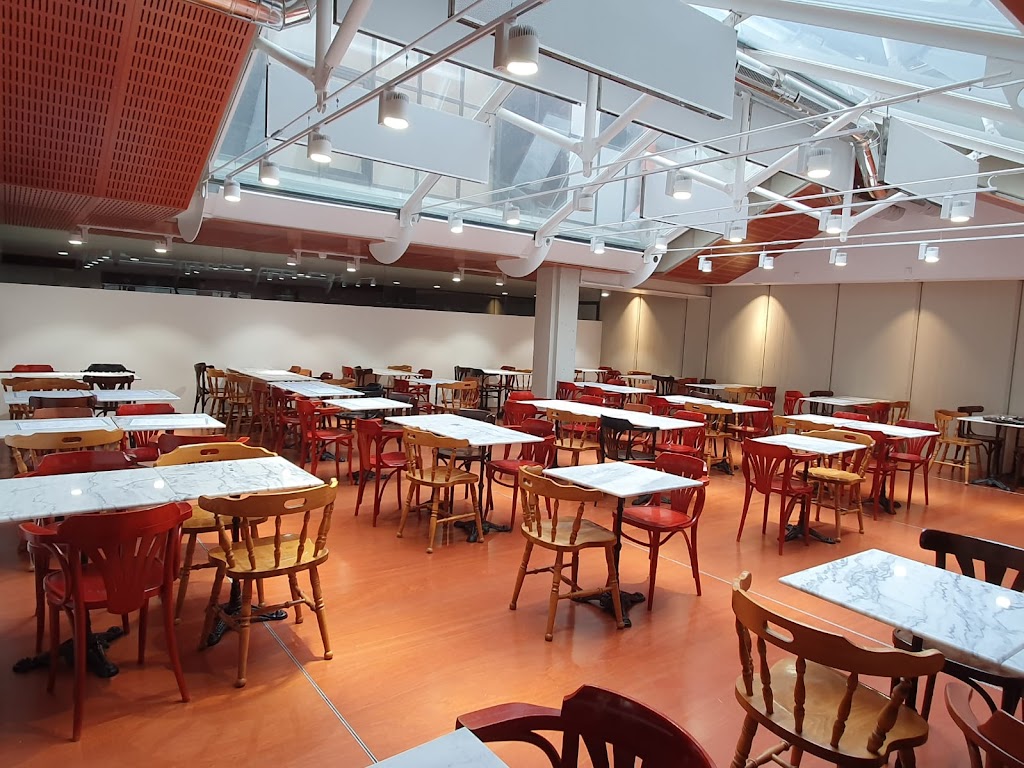 El Cultural Tapas (Restaurante en Terrassa de tapas, platos combinados y menu mediodia)