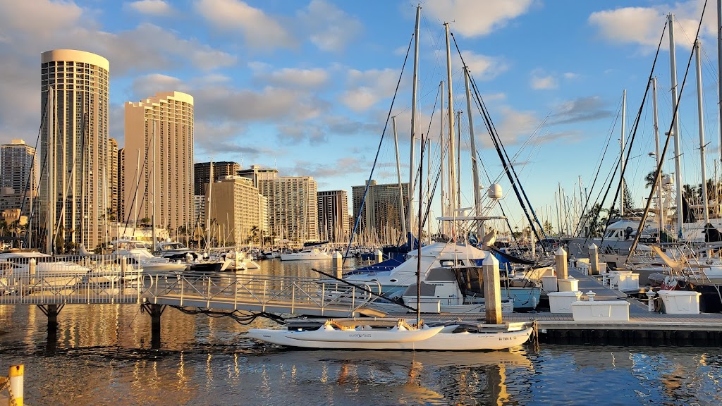 The Tradewinds