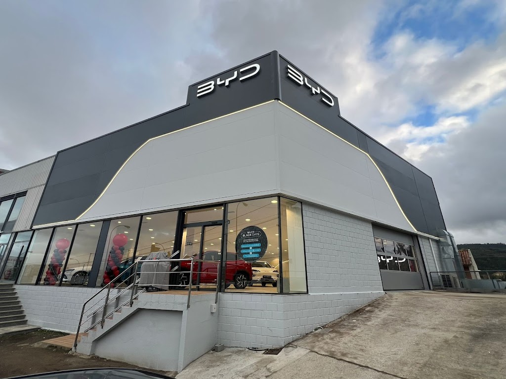 BYD Vigo
