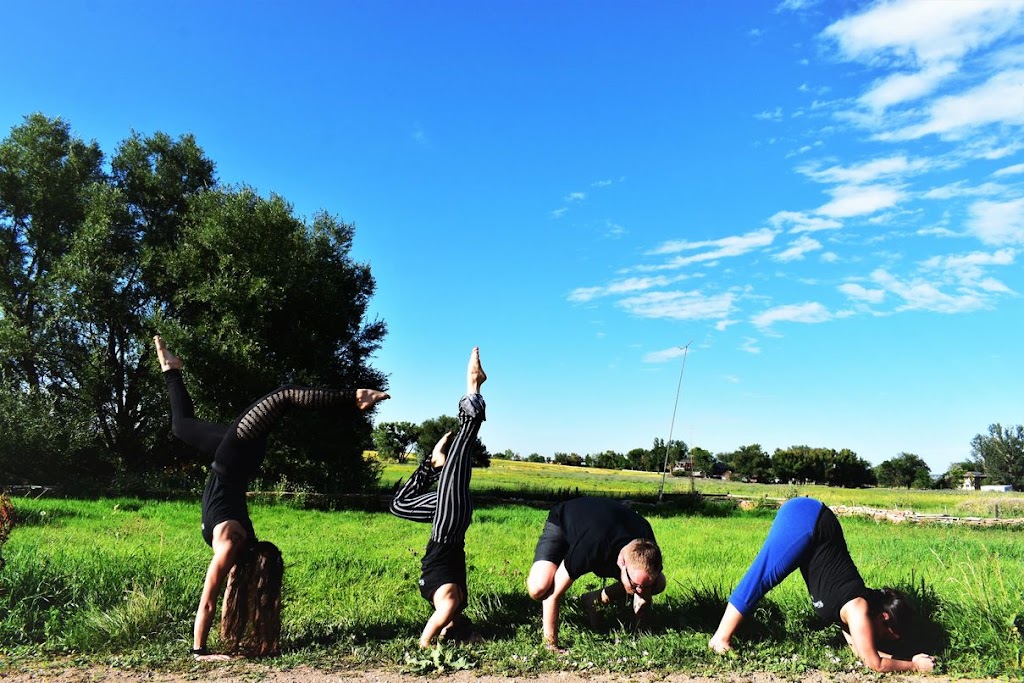  Kinetic Connection - Yoga & Dance