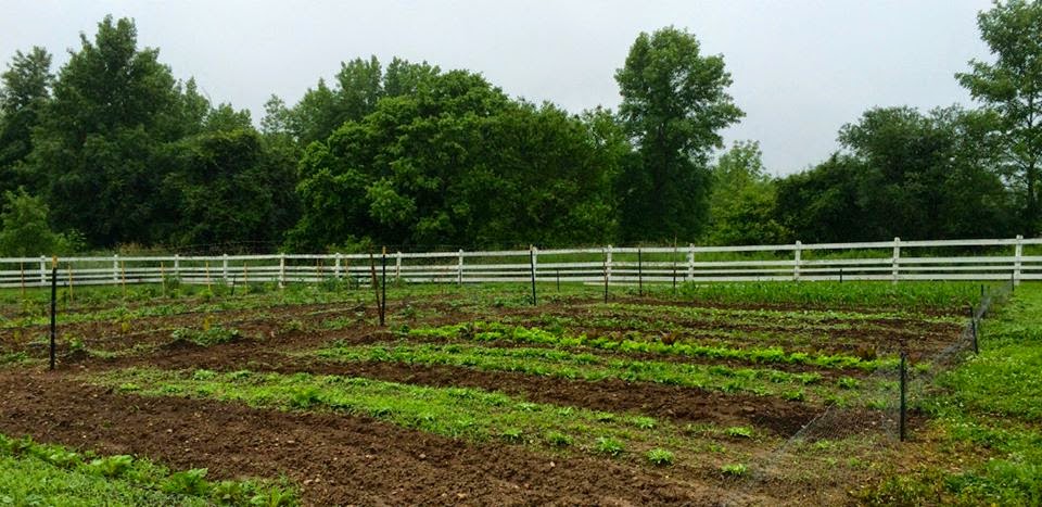  Twisted Willow Restaurant