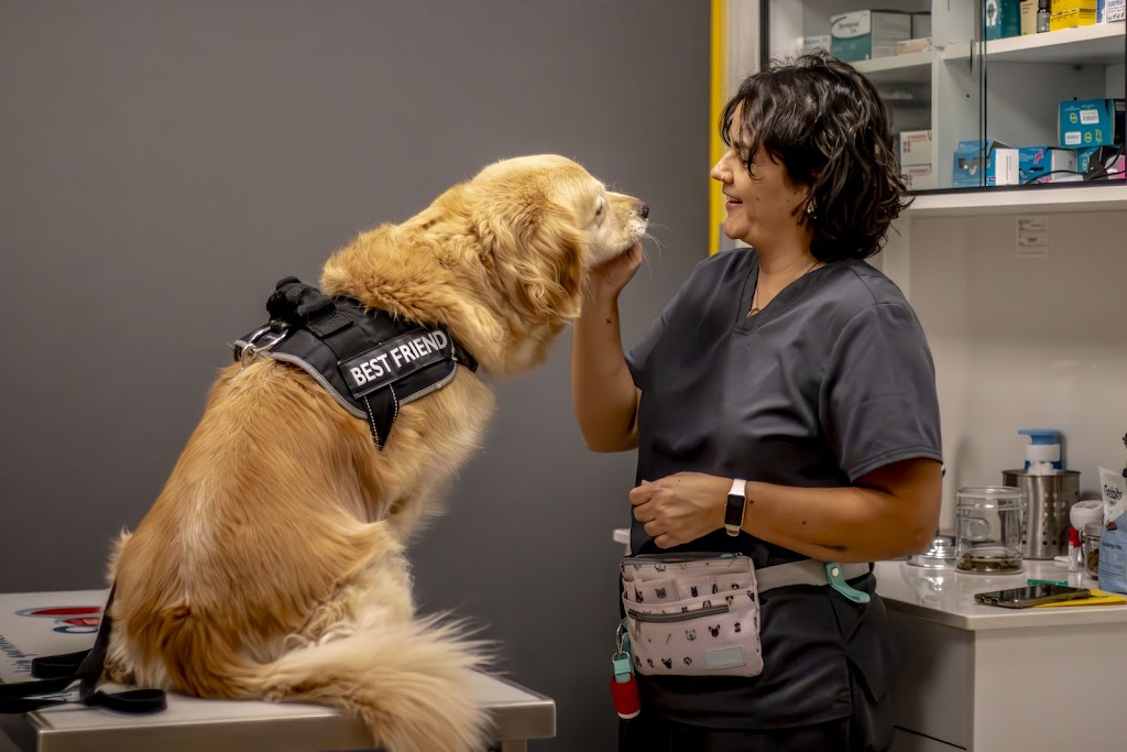 Clinica Veterinaria Animalicos