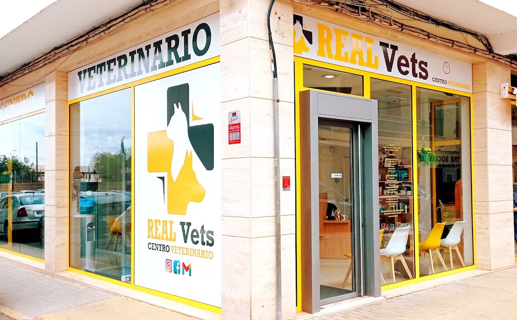 RealVets Centro Veterinario
