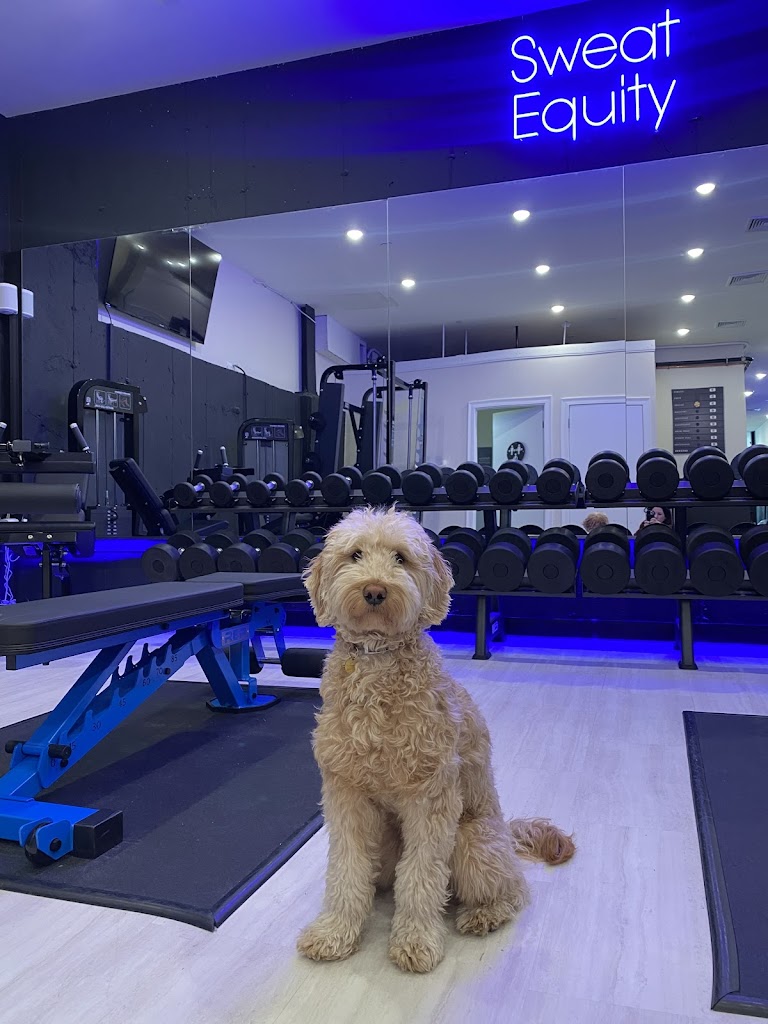  Sweat Equity Fitness