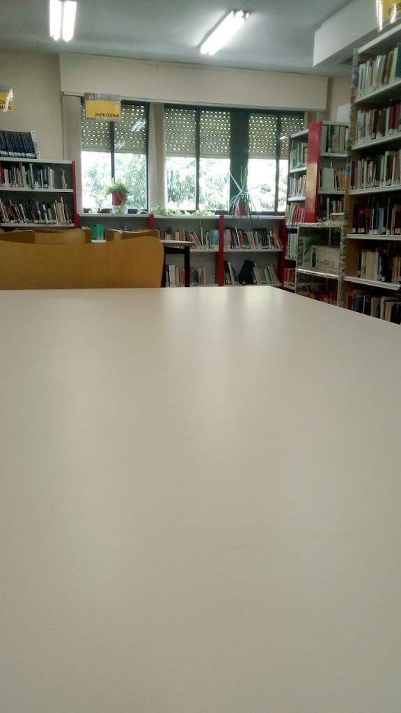 Biblioteca Publica Municipal de Daimiel.