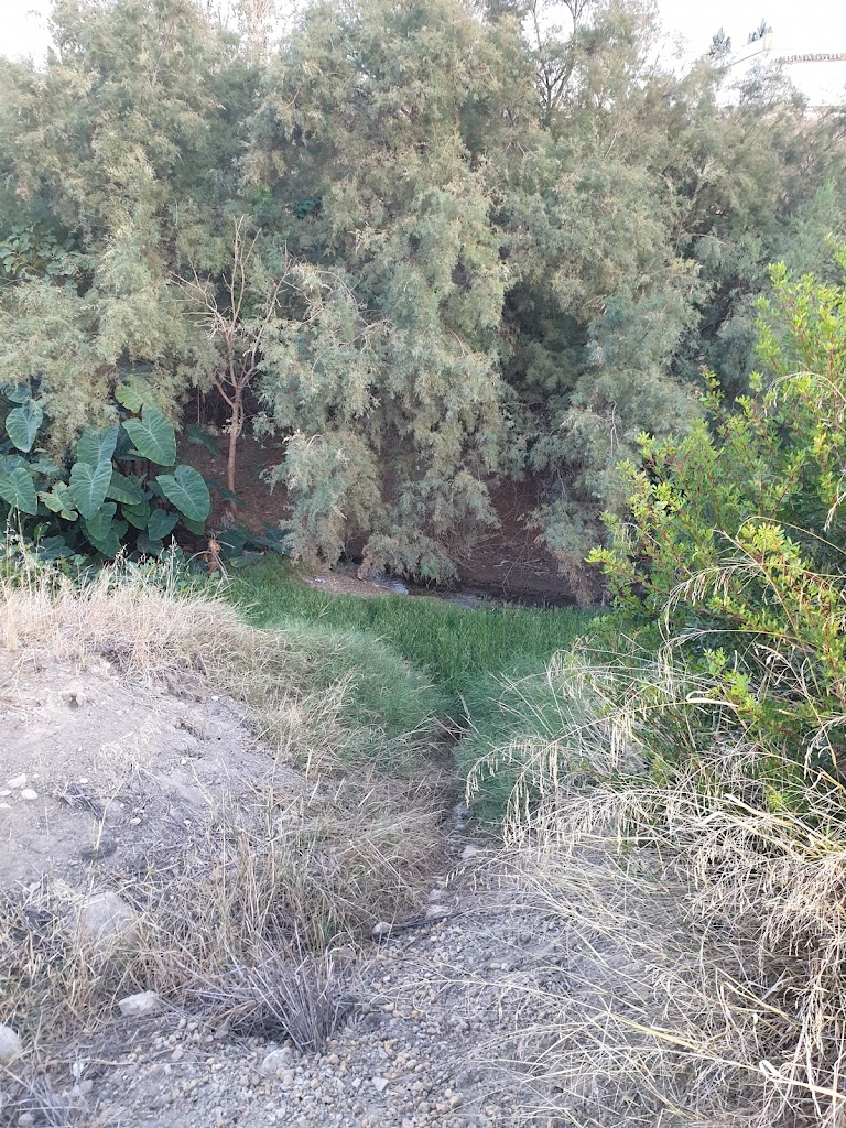 Parque Periurbano Francisco Malagon