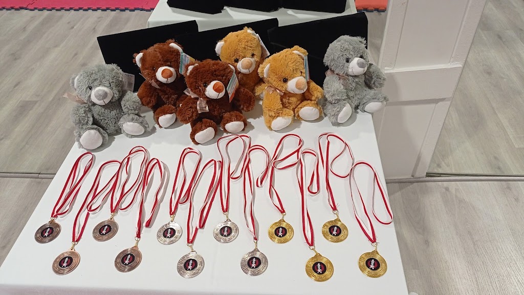 Nin Ruz Ryu Dojo Mislata