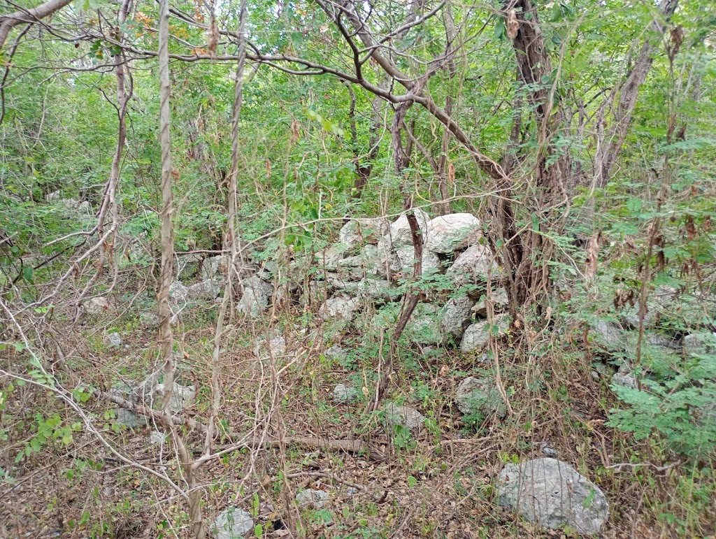 Zona Arqueologica Xaman Susula