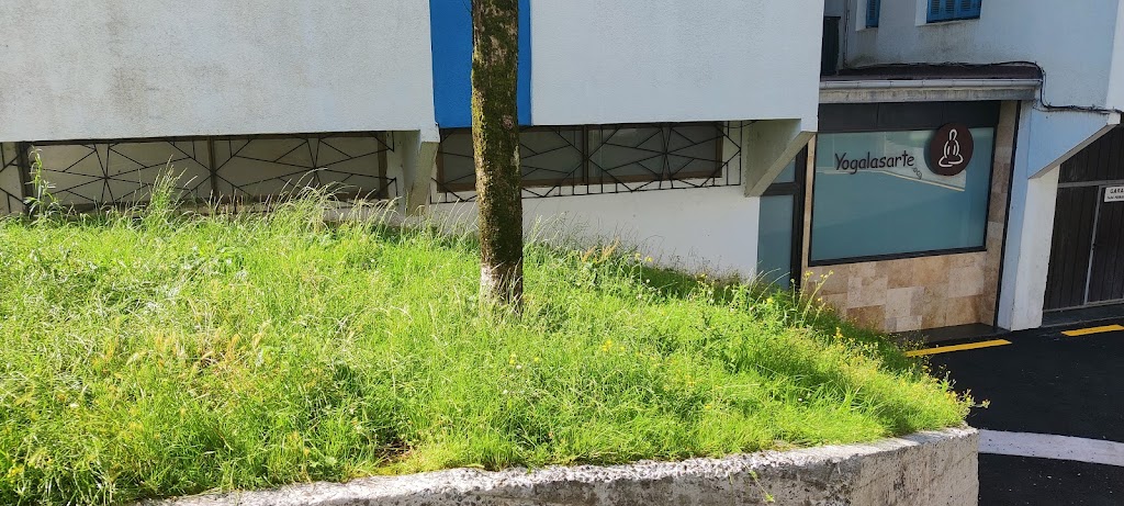 Yogalasarte