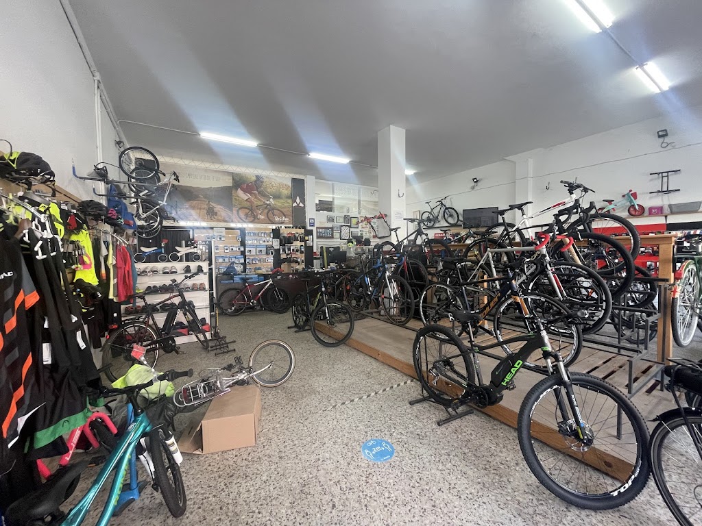 Alquiler de Bicicletas en Tui - BICITUI