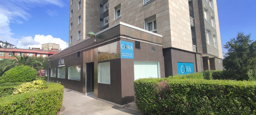 Clinica Oftalmologia Veterinaria Asturias