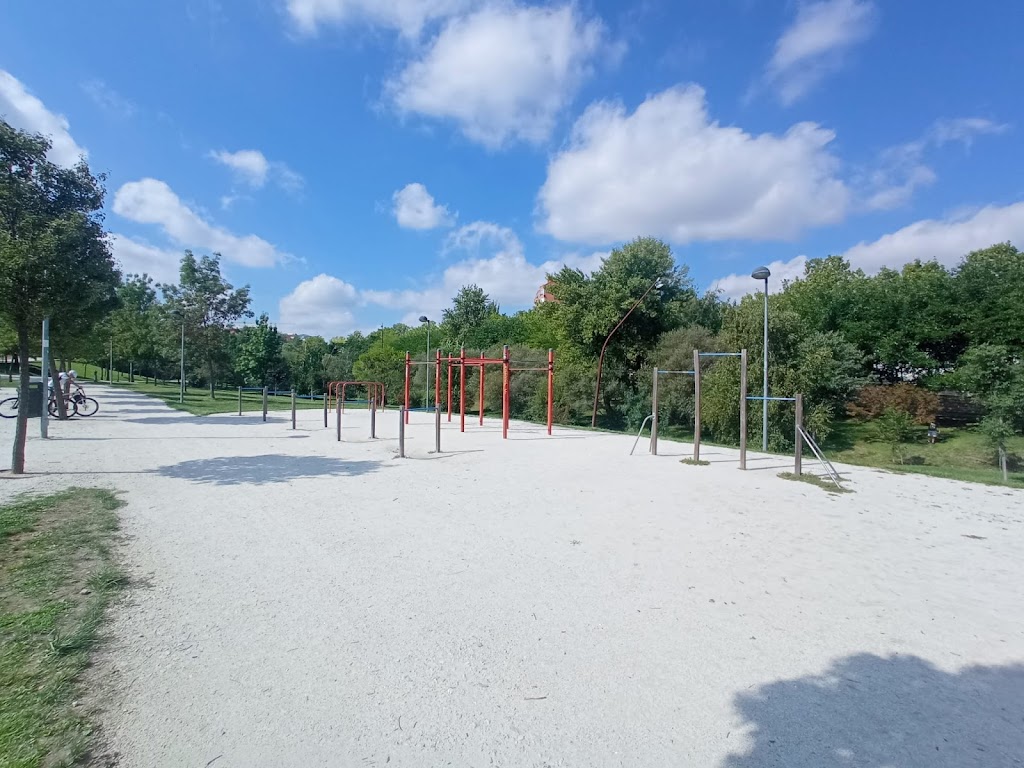Calistenia - Street Workout. Tres Cantos_ 3