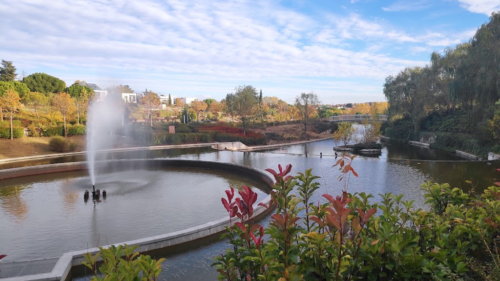 Parque Arroyo de las Carcavas