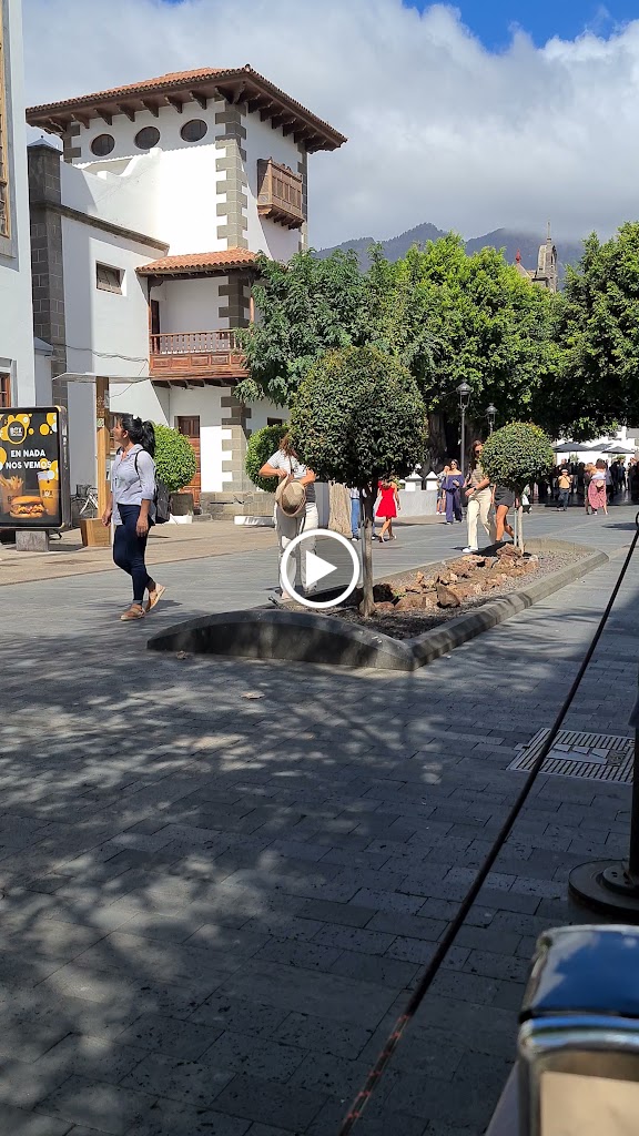 Winnit Terraza carambola — Videos