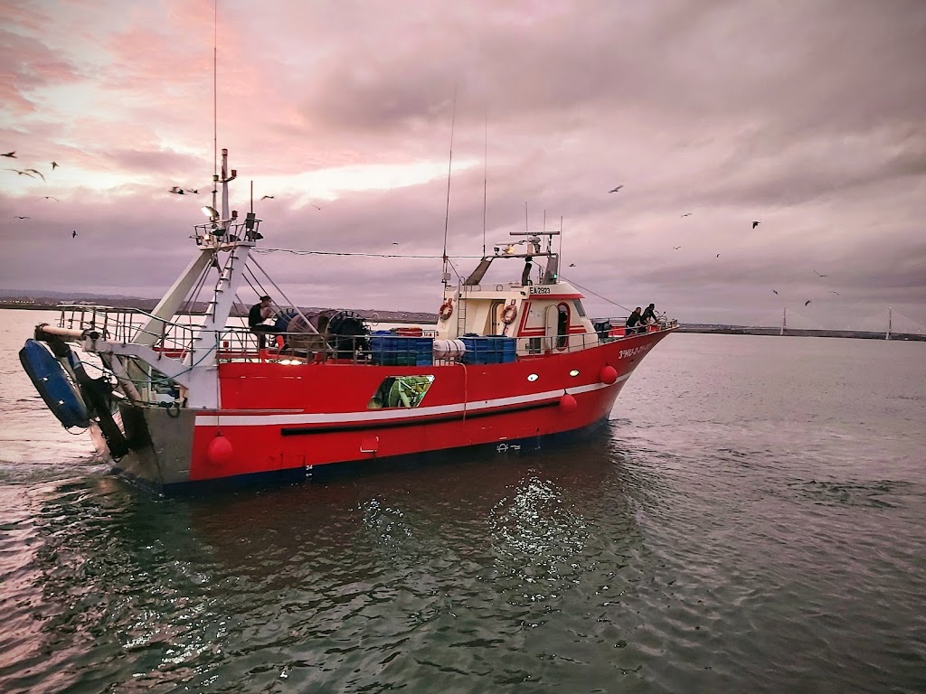 Antenas del Guadiana