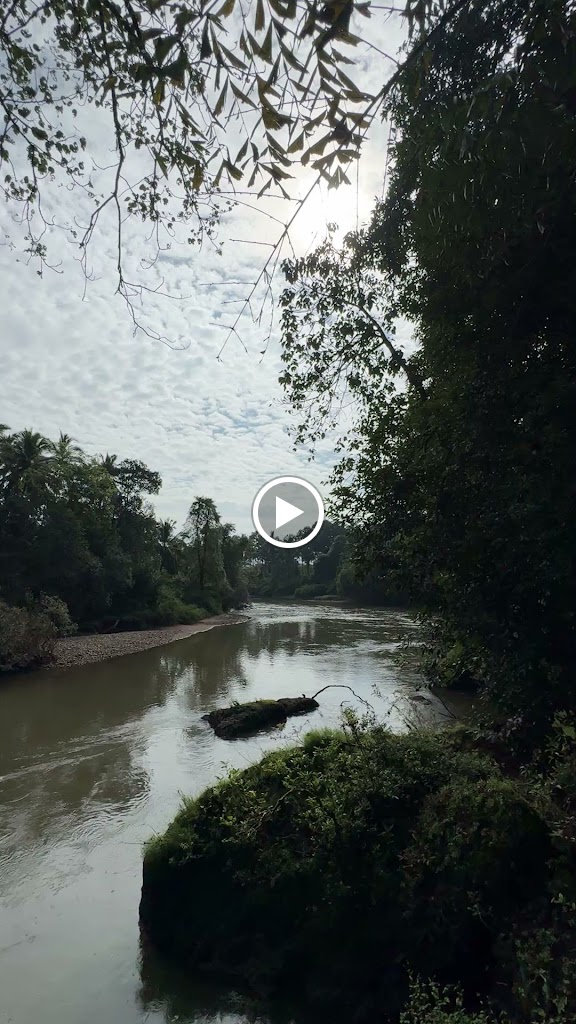 Videos
