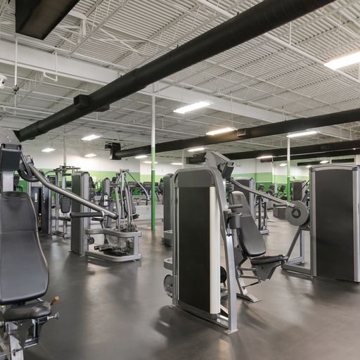  YouFit Gyms Cresthaven